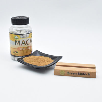 فروش مستقیم کارخانه پودر عصاره ماکا عملکرد مردان را بهبود می بخشد