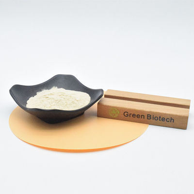 تولید کننده پودر 100٪ خالص عصاره سیر با کیفیت بالا