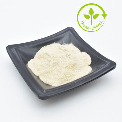 عمده فروشی عصاره سیر قیمت پایین پودر سیر آلیسین 100% عصاره سیر خالص