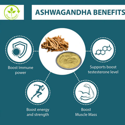 استخراج 5٪ Withanolide Ashwagandha با کیفیت بالا برای کپسول های Ashwagandha