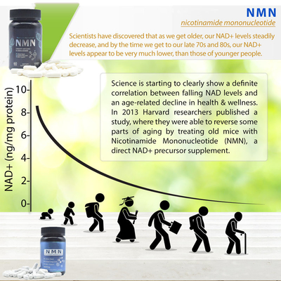طول عمر 600mg مکمل Nmn خالص کپسول افزایش انرژی