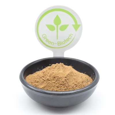 پودر عصاره گیاهی HACCP Ajuga Turkestanica 2% ترکسترون کاهش چربی