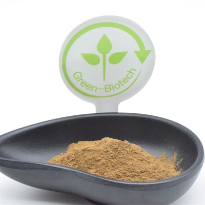 پودر عصاره گیاهی HACCP Ajuga Turkestanica 2% ترکسترون کاهش چربی