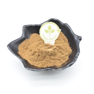 2% عصاره Ajuga Turkest بدنسازی
