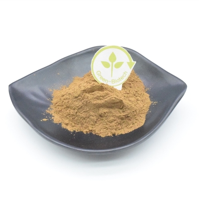 پودر عصاره گیاهی 750 میلی گرمی 1000 میلی گرمی Ajuga Turkestanica کاربردی
