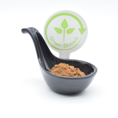 2% عصاره Ajuga Turkest بدنسازی